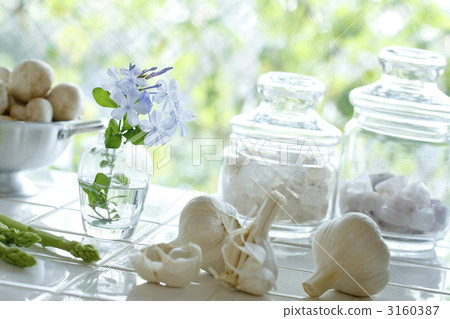 白花丹屬 藍雪花 花朵 3160387