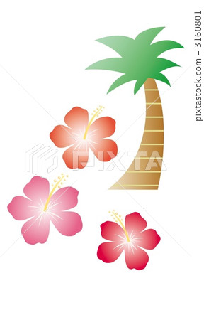 Hibiscus and palm tree 3160801