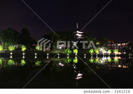 Kofuku-ji 5-storied tower and Sarusawa pond Kofuku-ji 5-storied tower and Sarusawa pond 3161218