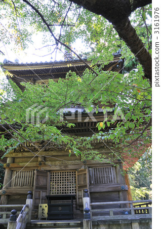 龍寺 龍寺 3161976
