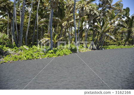 Hawaii Island Black sand beach 3162166