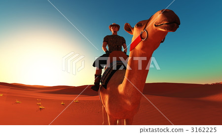 camel, male, man 3162225