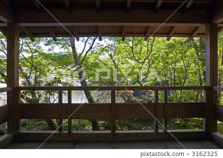古板的花園豪宅庭院 古板的花園豪宅庭院 3162325