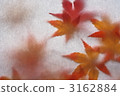 秋天的樹葉 3162884