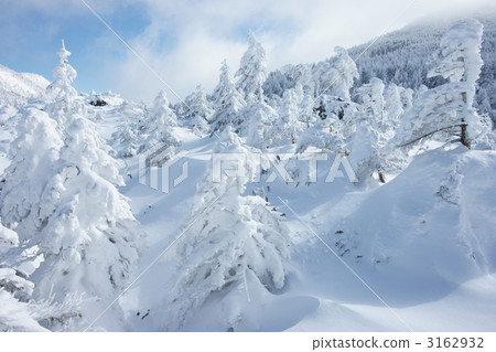 Tsuboniwa Tsuboniwa 3162932