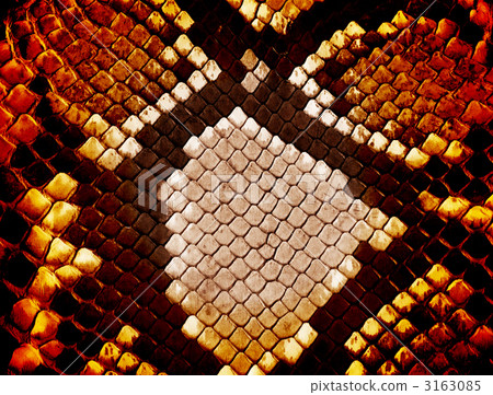 snake pattern, snakeskin, leather 3163085