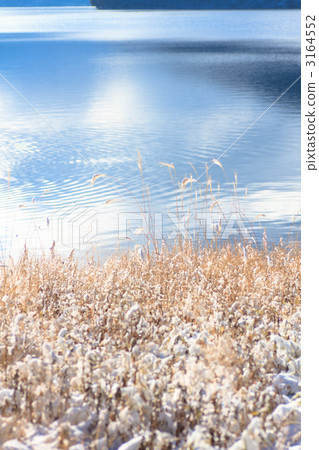 在湖邊的雪場面 在湖邊的雪場面 3164552