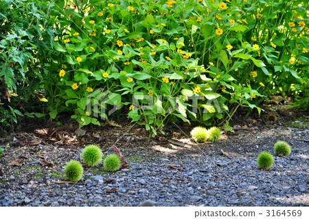 Countryside Scenery, country scenery, rural scenery 3164569