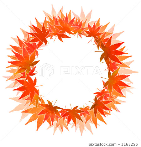 maple, yellow leafe, red leafe 3165256