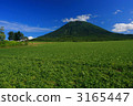 羊蹄山 3165447