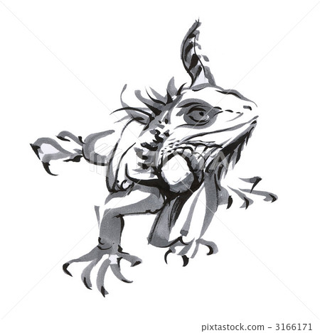 iguana 3166171