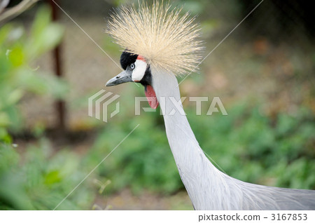 Kamu Rizzul Kamu Rizzul 3167853