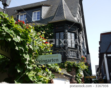 Rudesheim's Tsugumi Yokocho Rudesheim's Tsugumi Yokocho 3167936