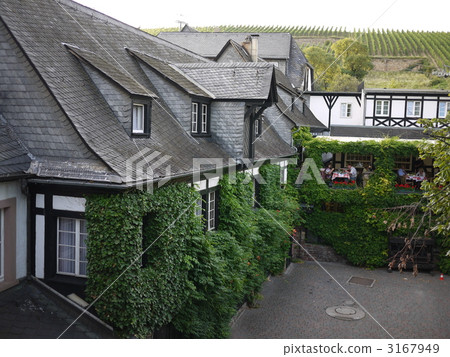 酒店的庭院 3167949