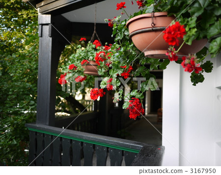 酒店的庭院 3167950