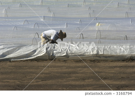 Farmers who are setting up tunnels (d20110824-015) 3168794