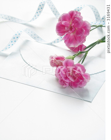 Presenting carnations and letters [Image of Mother's Day] [White background] [Copy space] 3169431