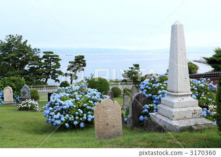 函館的外國公墓 3170360