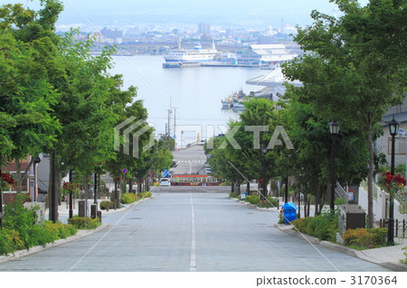 The slope that Hakodate harbor can be seen 3170364