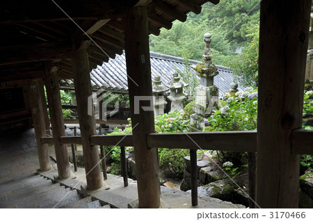 Hase-dera時代 3170466