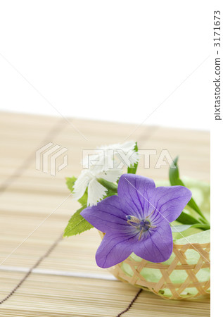 Arranging Kikyo and Niko 3171673