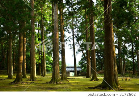 Tradition of Honen Castle old Honmaru 3172602