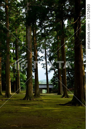 Tradition of Honen Castle old Honmaru Tradition of Honen Castle old Honmaru 3172603