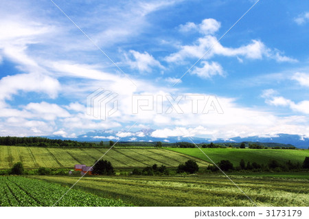Biei's red roof 3173179