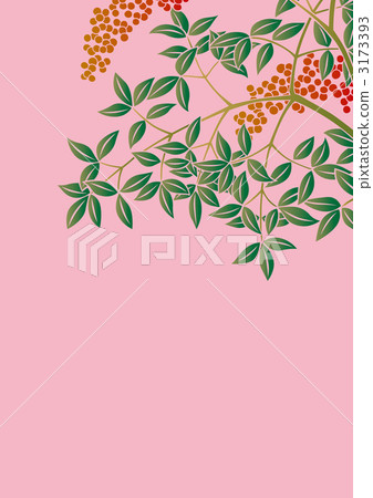 南天樹的果實 南部天空 花紋 3173393