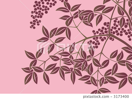 南天樹的果實 南部天空 布料 3173400