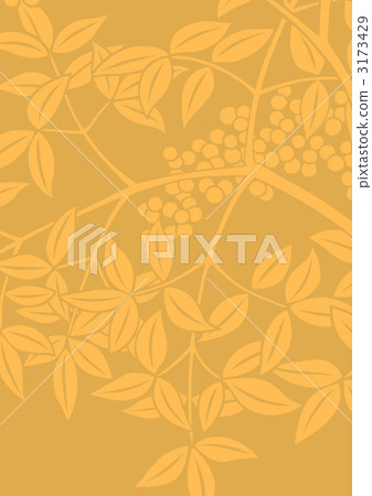 南天樹的果實 南天竹 葉子 3173429