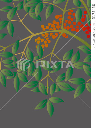 fruit of the nandin, nandina, foliage 3173438