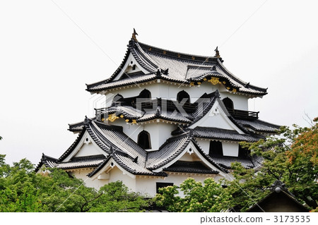 National treasure Hikone castle tower 3173535