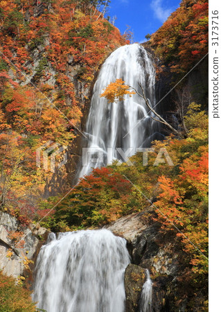 秋天的秋天 秋天的秋天 3173716