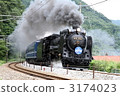 D51 SL Minakami 3174023