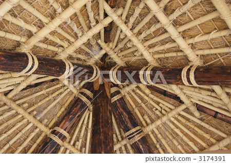 在爬行屋頂後面 3174391