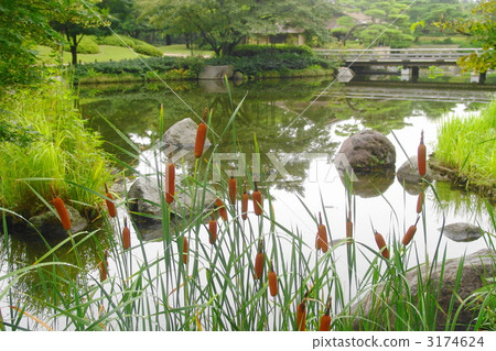 August Gama·Gama醫院07 August Gama·Gama醫院07 3174624