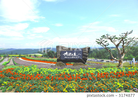 埃爾維斯山 3174877