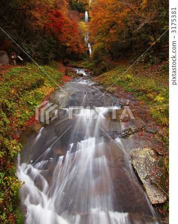 Autumnal waterfall of autumn leaves Autumnal waterfall of autumn leaves 3175381