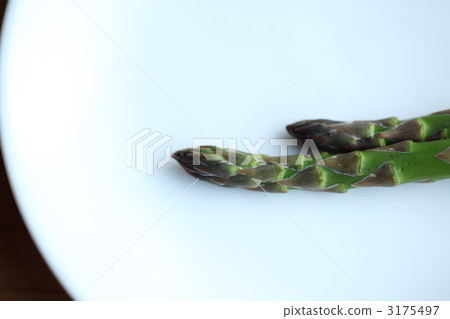 蘆筍 綠蘆筍 新鮮 3175497