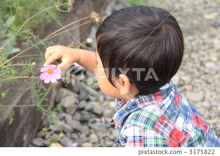 Cosmos and a boy 3175822