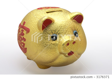 Pig piggy bank Pig piggy bank 3176371
