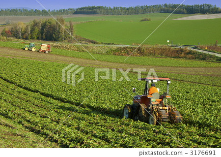 Harvest 3176691