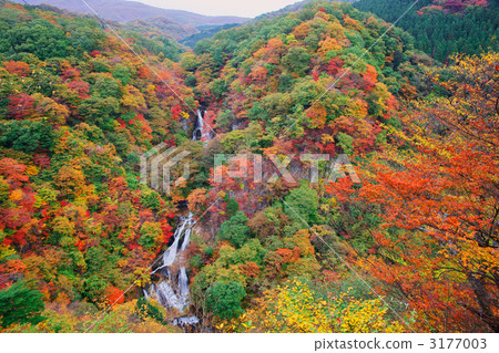 tone river, kegon falls, japan's top 100 waterfalls 3177003