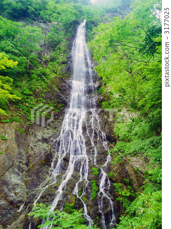 淡水落下 3177025