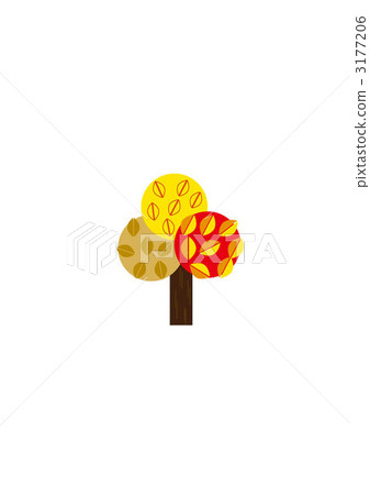 楓樹 紅楓 楓葉 3177206