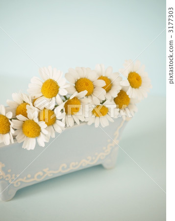 Light blue dream 3177303