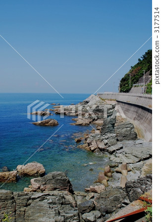 Evening glaze line Evening glaze line 3177514