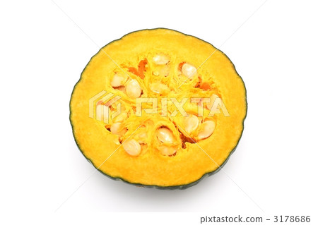 Pumpkin pumpkin Pumpkin pumpkin 3178686