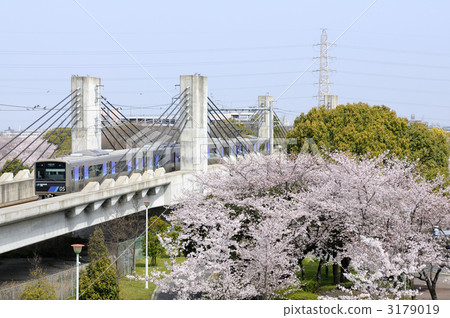 Cherry Blossoms and Azonami Cherry Blossoms and Azonami 3179019